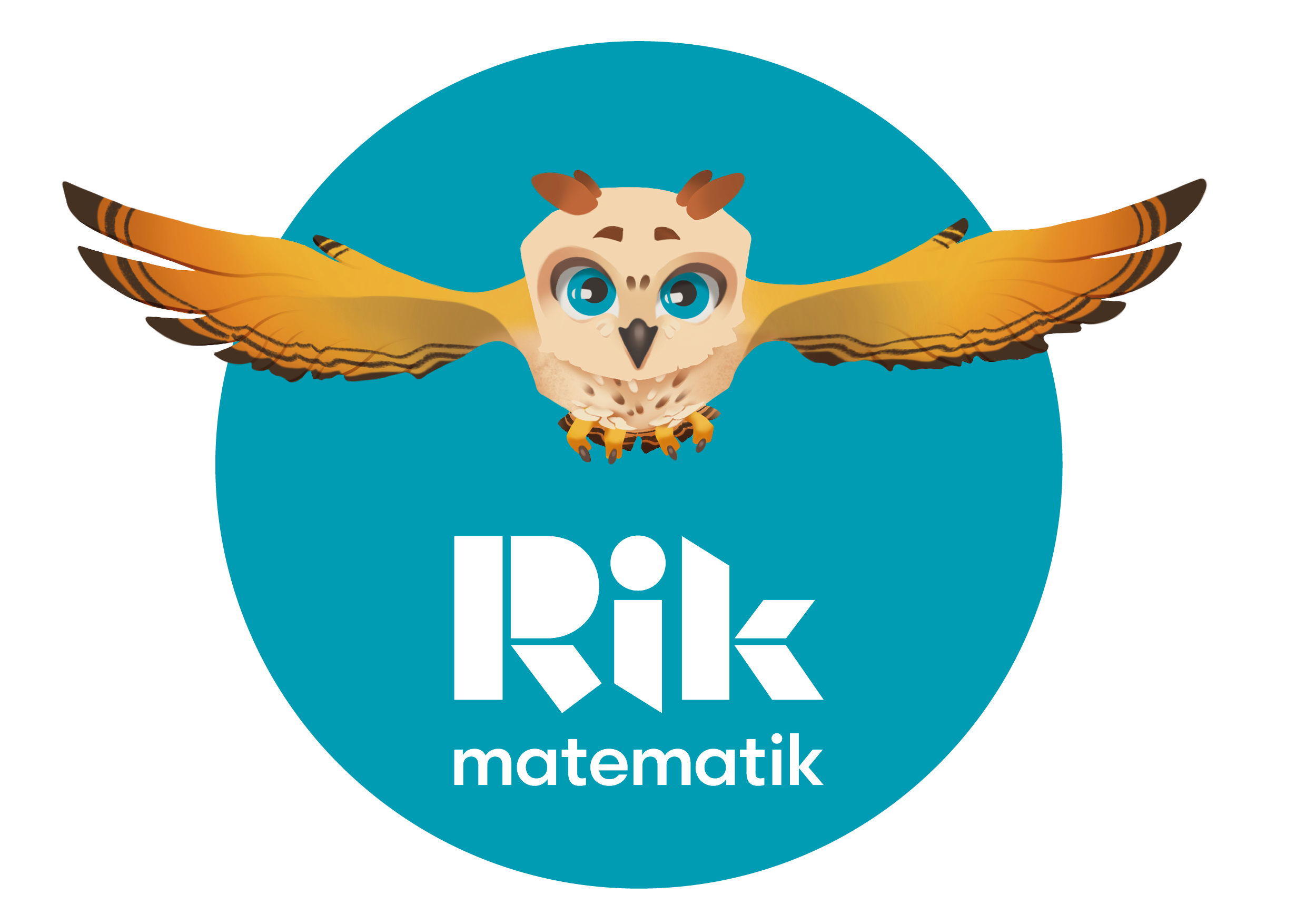 Vad är Rik matematik?