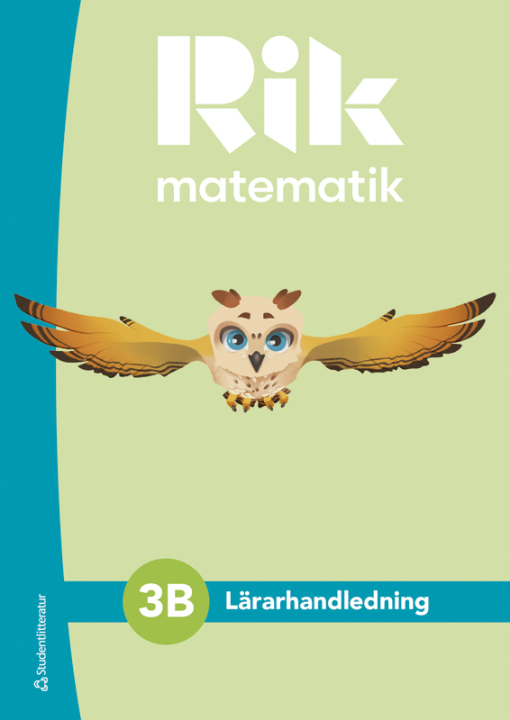 Rik matematik lärarhandledning 3B
